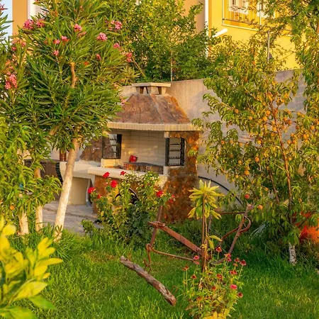 Dimitris Luxury